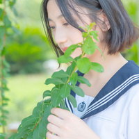 刘亚慧