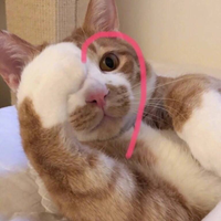 黄静