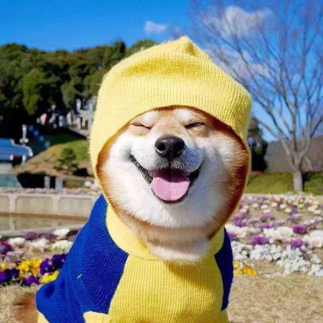 张璇璇