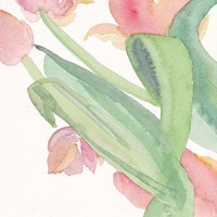 尔尔